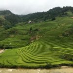 Terrazzamenti di Sapa