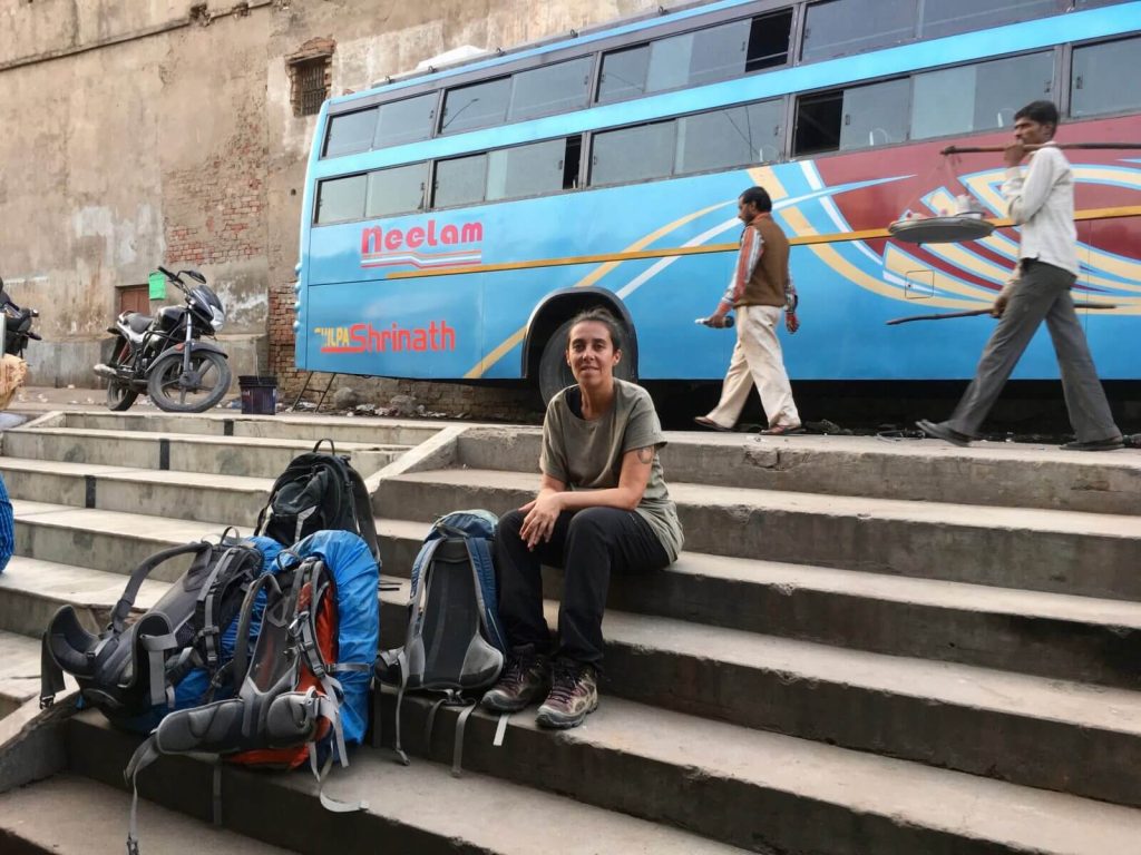 Una capra ad Agra
