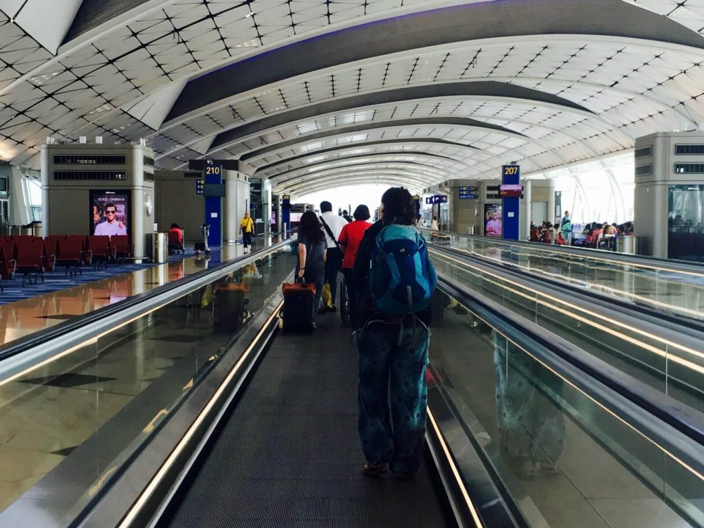 Una capra in aeroporto