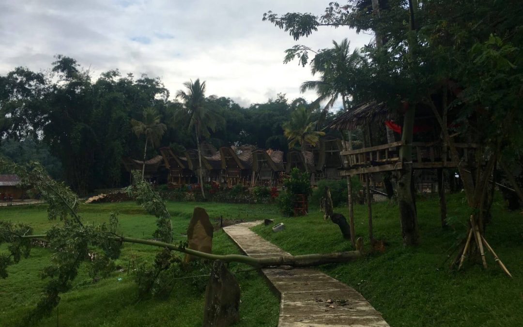 Escursione a Ke’te Kesu e Lemo, Sulawesi, Indonesia