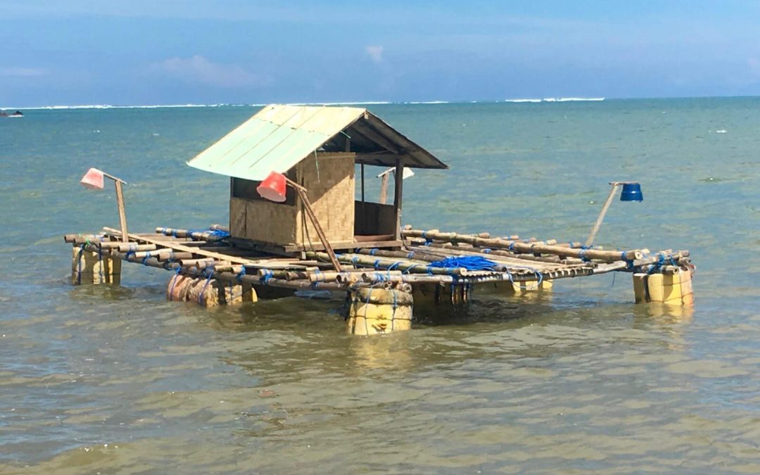 90.Da Gili Air a Kuta Lombok