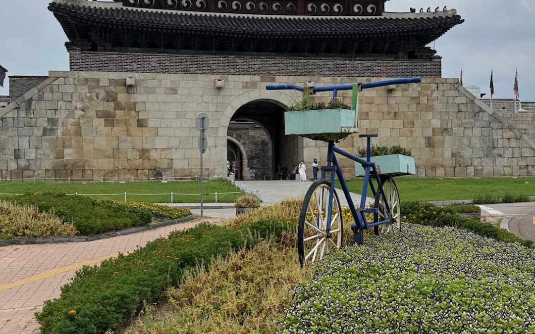 Suwon, la città della Fortezza di Hwaseong: un viaggio nella storia coreana a pochi passi da Seoul