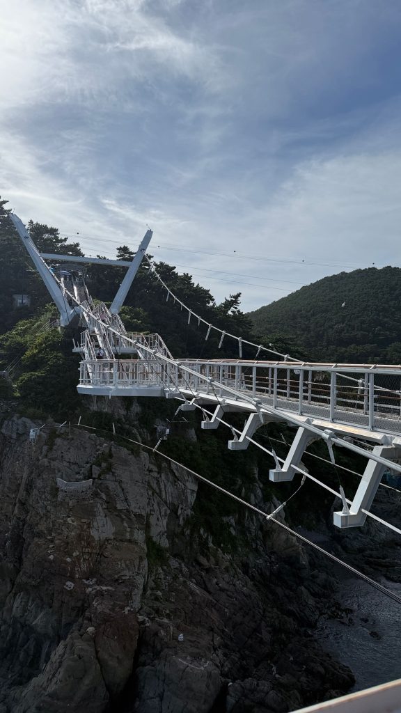 Ponte Sospeso di Songdo Sky Park Ponte Sospeso di Songdo Sky Park