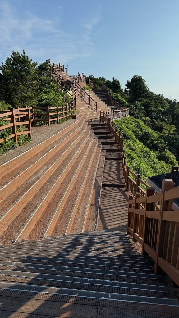 Vetta del Monte Seongsan Ilchulbong Vetta del Monte Seongsan Ilchulbong