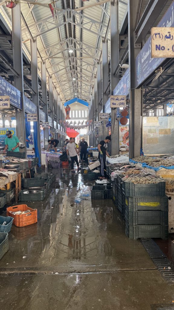 Fish Market, Hurghada