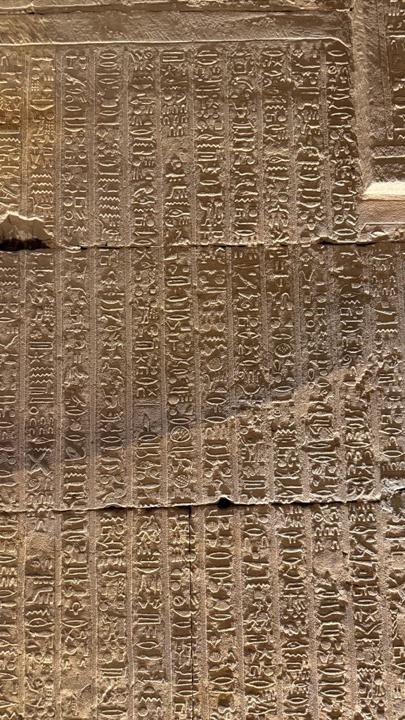Geroglifici di Edfu Geroglifici di Edfu