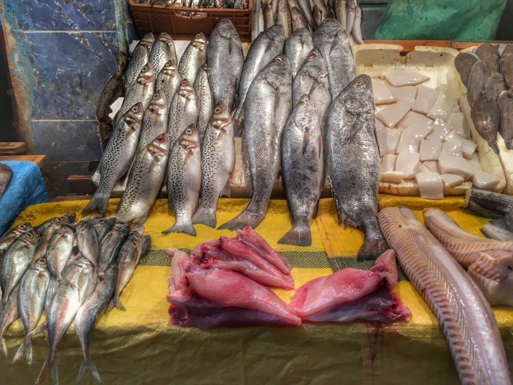 Mercato del pesce, Meknes