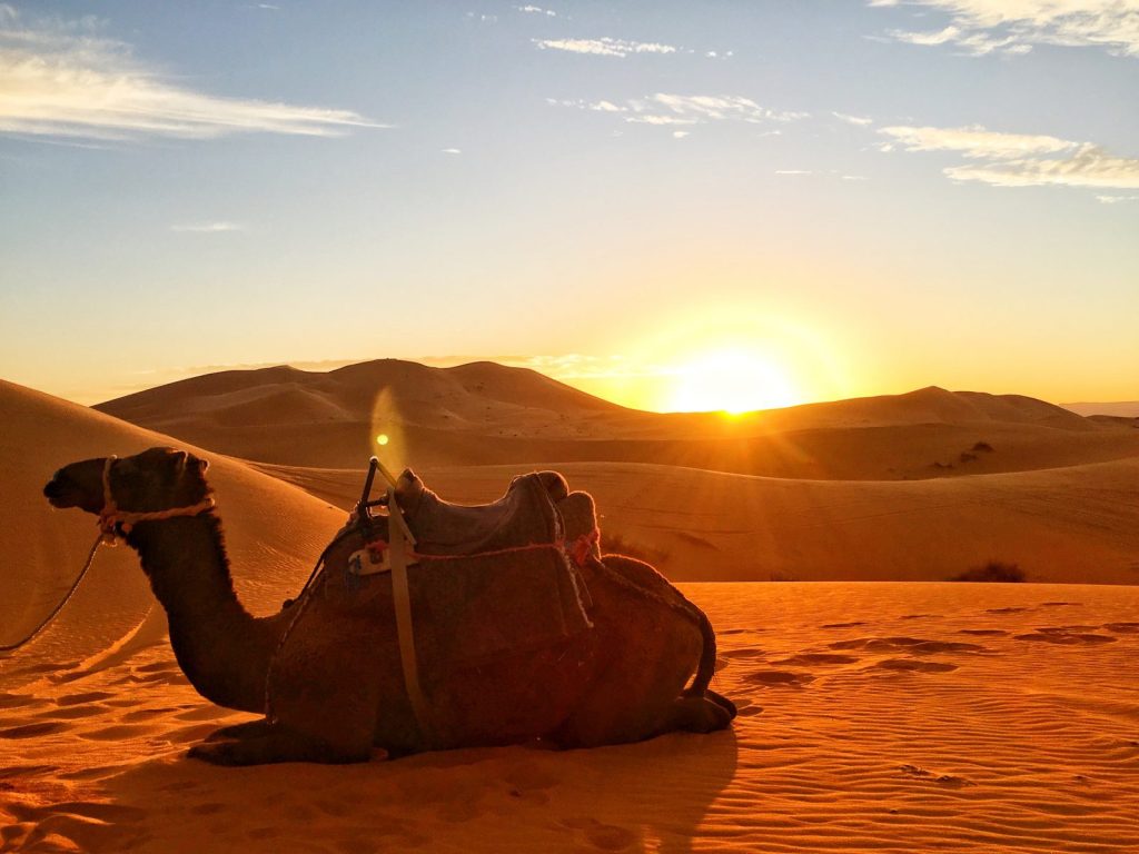 Tramonto Sahara