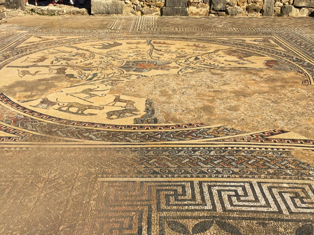VOLUBILIS, Mosaico Orfeo