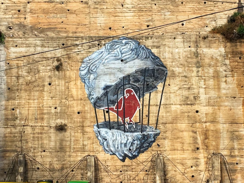 10.Passerotto